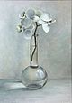 Stilleven met orchideeen, 35x50cm, 2005.