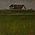 20 April 2006, ooijpolder. 40x40cm.