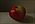 Rode appel, The apple that corrupted man. Olieverf op paneel, 14.5x9cm, 2004. VERKOCHT
